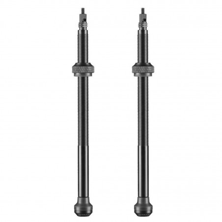 JEU VALVES SCHWALBE TUBELESS 100 mm ALUMINIUM NOIR(2 UNITÉS) - 3472 - 4026495876292