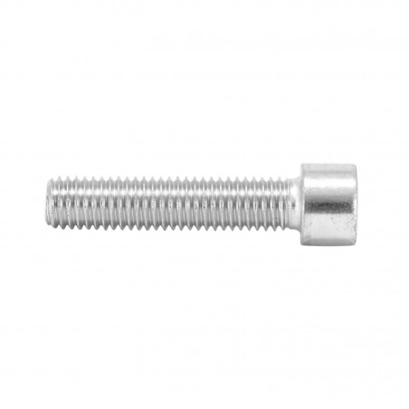 VIS CHC 6 PANS CREUX M10 x 65 mm CHROME (SACHET DE 10 PIECES)