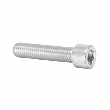 VIS CHC 6 PANS CREUX M10 x 65 mm CHROME (SACHET DE 10 PIECES)