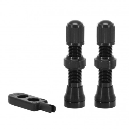 VALVE DE PNEU VTT P2R TUBELESS NOIR SCHRADER 44mm OBUS DEMONTABLE (LA PAIRE)