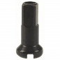 BOÎTE DE 100 ÉCROUS DT STANDARD BRASS 2 x 12 mm NOIR - N0BA20120S0100 - 7613052135182