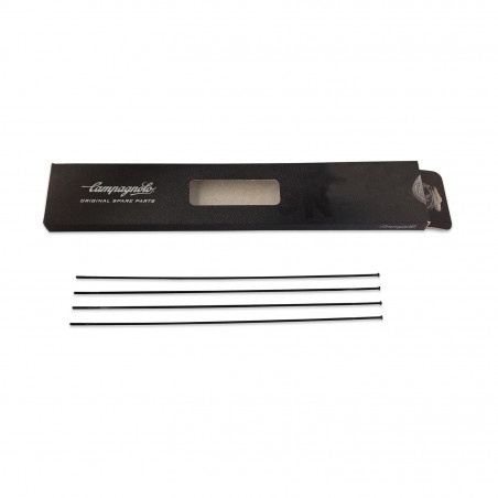 4 RAYONS CAMPAGNOLO ZONDA ARRIÈRE GAUCHE - WH-119ZOC - 8050046164428