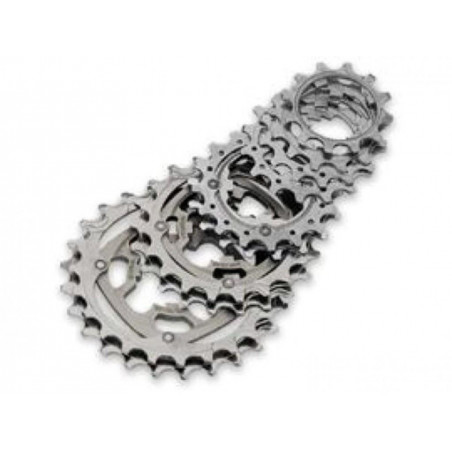 ROUE LIBRE CAMPAGNOLO 10V.17 DENTS - 10S-171 - 8032758972218