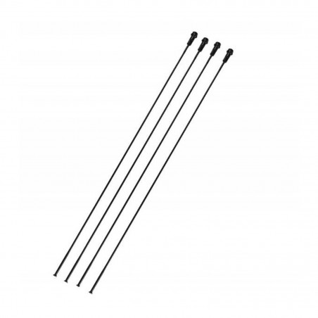 4 RAYONS CAMPAGNOLO ZONDA AVANT GAUCHE - WH-017ZODB - 8050046164480