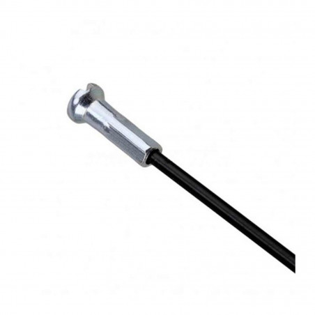 4 RAYONS CAMPAGNOLO BORA ONE 50 DISQUE ARRIERE GAUCHE - WH-019BO50DB - 8050046168716
