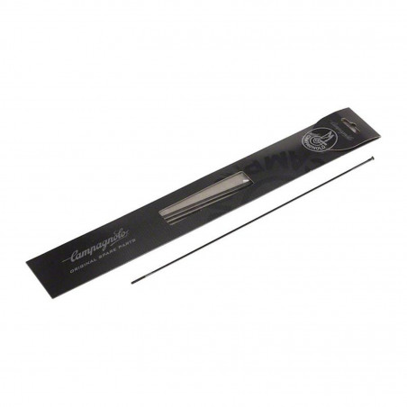 4 RAYONS CAMPAGNOLO WTO 60 DISQUE AVANT GAUCHE/ARRIERE DROIT - WH-02BWTO45 - 8053340454189