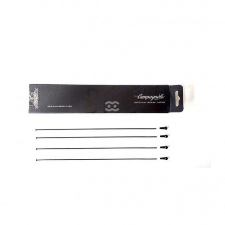 4 RAYONS CAMPAGNOLO WTO 33 DISQUE AVANT GAUCHE/ARRIERE DROIT - WH-01BWTO33DB - 8053340456329