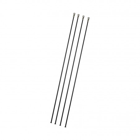 4 RAYONS CAMPAGNOLO WTO 33 DISQUE ARRIERE GAUCHE - WH-03BWTO33DB - 8053340456343