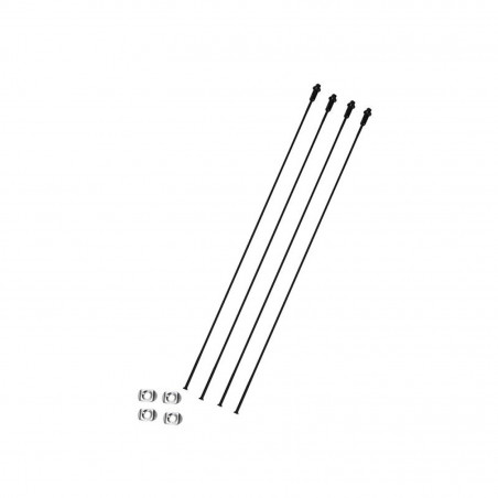 4 RAYONS CAMPAGNOLO SHAMAL CARBONE AVANT GAUCHE - WH-016SHCDB - 8053340456817