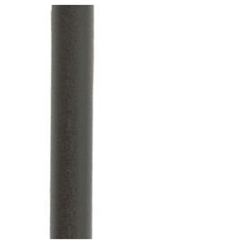 BOÎTE DE 100 RAYONS DT SWISS CHAMPION M 2x266mm NOIR - SCH020266S0100 - 7613052267661