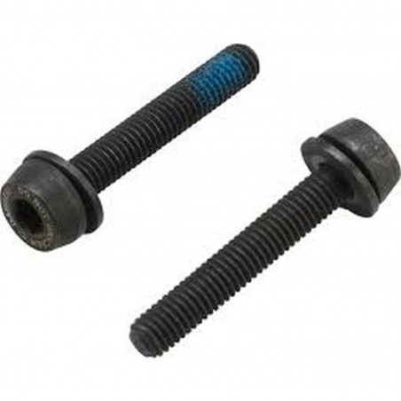 2x VIS 29 mm POUR MONTAGE ARRIÈRE 20 - 24 mm - AC18-DBSC29 - 8050046167443