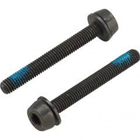 2x VIS 39 mm POUR MONTAGE ARRIÈRE 30 - 34 mm - AC18-DBSC39 - 8050046167467