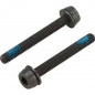 2x VIS 39 mm POUR MONTAGE ARRIÈRE 30 - 34 mm - AC18-DBSC39 - 8050046167467