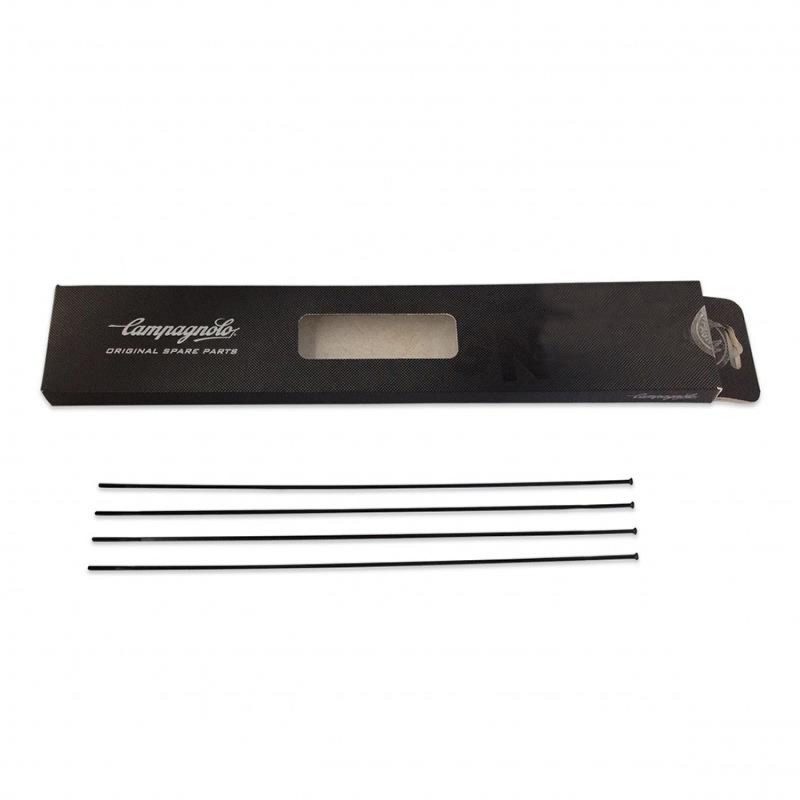 4 RAYONS CAMPAGNOLO SHAMAL ULTRA DISQUE AVANT DROIT - WH-017SHDB - 8053340452345