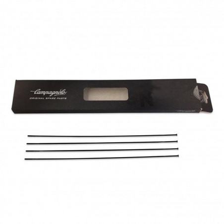 4 RAYONS CAMPAGNOLO SHAMAL ULTRA DISQUE AVANT DROIT - WH-017SHDB - 8053340452345