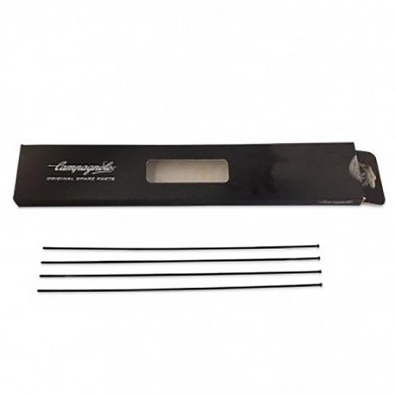 RAYON CAMPAGNOLO SHAMAL ULTRA DISQUE ARRIERE DROIT - WH-018SHDB - 8053340452352