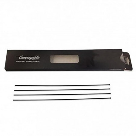 RAYON CAMPAGNOLO SHAMAL ULTRA DISQUE ARRIERE DROIT - WH-018SHDB - 8053340452352