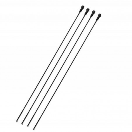 RAYONS CAMPAGNOLO SHAMAL ULTRA DISQUE ARRIERE GAUCHE - WH-019SHDB - 8053340452369
