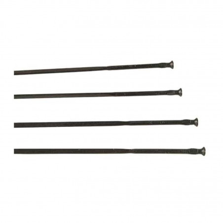 4 RAYONS CAMPAGNOLO ZONDA AVANT - WH-016ZOC - 8056734281033