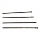 4 RAYONS CAMPAGNOLO ZONDA AVANT - WH-016ZOC - 8056734281033