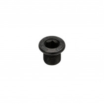VIS DE PLATEAU FSA MEGATOOTH ML138 6 mm ACIER NOIR - 390-2093OE - 4712865854198