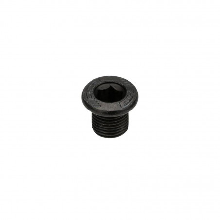 VIS DE PLATEAU FSA MEGATOOTH ML138 6 mm ACIER NOIR - 390-2093OE - 4712865854198