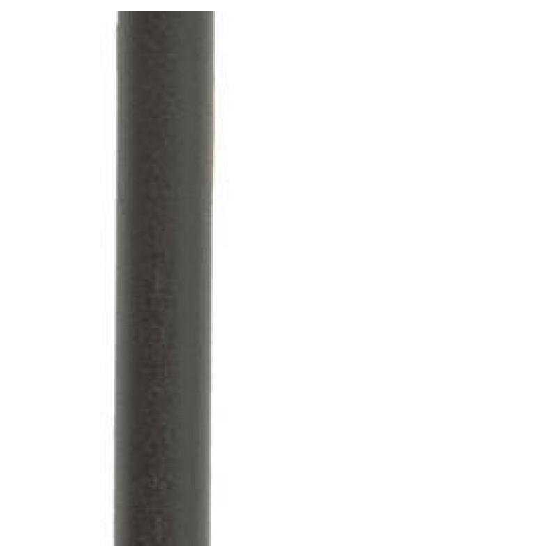 BOÎTE DE 100 RAYONS DT SWISS 2.0x1.8x2.0x280mm NOIR - SCO020280S0100 - 7613052263113