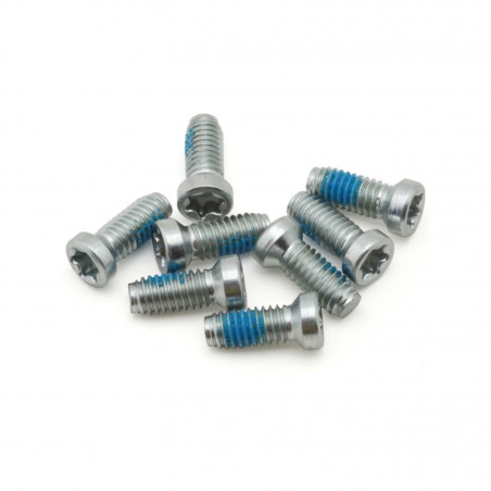 VIS DE PEDALIER SRAM DIRECT MOUNT - AXS SPIDER TORX 8x20 mm (POUR MONTAGE SPIDER OU PLATEAU DM SUR MANIVELLE)