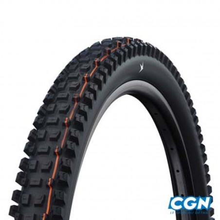 PNEU VTT 29X2.50 TS SCHWALBE ALBERT GRAVITY PRO EVO TLR NOIR RADIAL SOFT (63-622) - 4026495945288