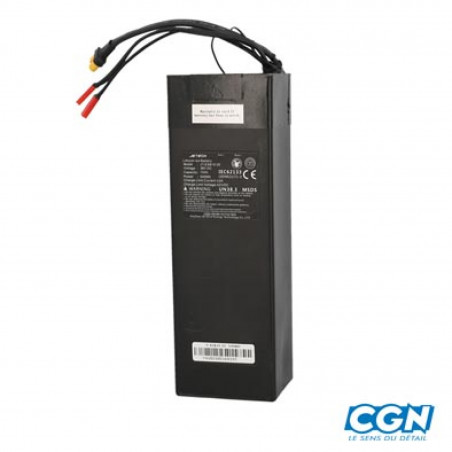 BATTERIE 15AH POUR TROTTINETTE ELECTRIQUE WHEELYOO X9 - 3663829314986