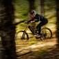 PNEU VTT GRAVITY 29 X 2.40 MICHELIN DH22 NOIR STICKERS BLEU-JAUNE TUBELESS READY RACING LINE TS (61-622)