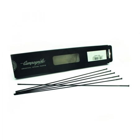 MINI KIT RAYONS NEUTRON - KIT-500NE - 8033148856392