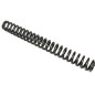 RESSORT ROCKSHOX DOMAIN 302 SINGLE MOU - 11.4015.047.000 - 710845310935