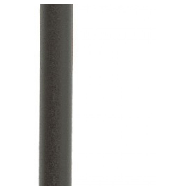 BOÎTE DE 100 RAYONS DT SWISS CHAMPION M 2x250mm NOIR - SCH020250S0100 - 7613052267548
