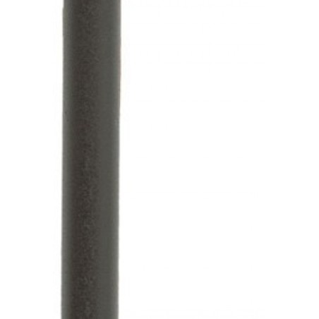 BOÎTE DE 100 RAYONS DT SWISS CHAMPION M 2x250mm NOIR - SCH020250S0100 - 7613052267548