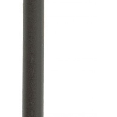 BOÎTE DE 100 RAYONS DT SWISS CHAMPION M 2x250mm NOIR - SCH020250S0100 - 7613052267548
