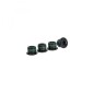 KIT VIS PLATEAU SRAM 4 BRAN.E-BIKE BOSCH/FAZUA M10x0.75 T30 - 11.6918.007.000 - 710845854781