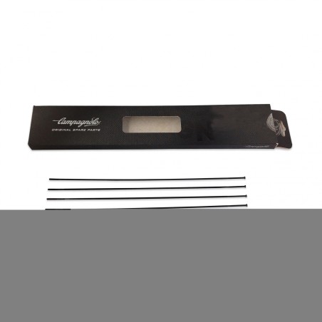4 RAYONS CAMPAGNOLO SCIROCCO 35 ARRIÈRE DROIT - WH-018SCC - 8056734281163