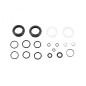 KIT SERVICE P/FOU.ROCKSHOX 35 SILVER R/TK (2021) 200 H/1 AN - 00.4318.025.150 - 710845852268