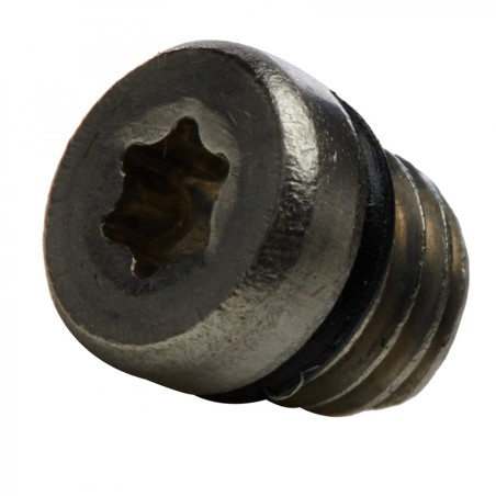 KIT VIS/TORIQUE DE PURGE SRAM INOXYDABLE (20 UNITÃ?S) - 11.5215.019.000 - 710845602481