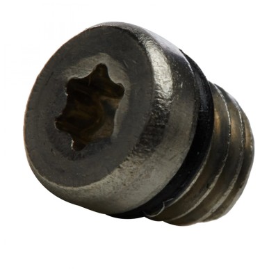 KIT VIS/TORIQUE DE PURGE SRAM INOXYDABLE (20 UNITÃ?S) - 11.5215.019.000 - 710845602481