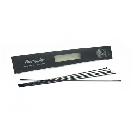 MINI KIT RAYONS BULLET 50 - KIT-500BU - 8004995863796