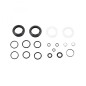 KIT SERVICE ROCK.F.ZEB BASE A2 /SELECT A2  DPA 2023  200H/1A - 00.4318.025.196 - 710845877988