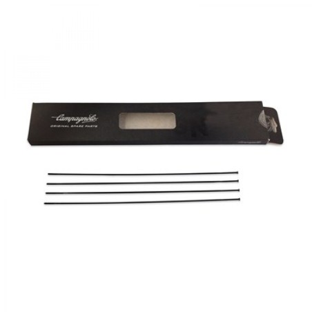 4 RAYONS CAMPAGNOLO CALIMA AVANT - WH-016CAC - 8050046168723