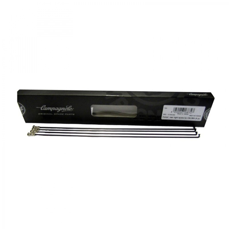 4 RAYONS CAMPAGNOLO CALIMA ARRIÈRE DROIT - WH-018CAC - 8050046168747