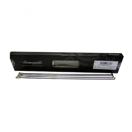 4 RAYONS CAMPAGNOLO CALIMA ARRIÈRE DROIT - WH-018CAC - 8050046168747