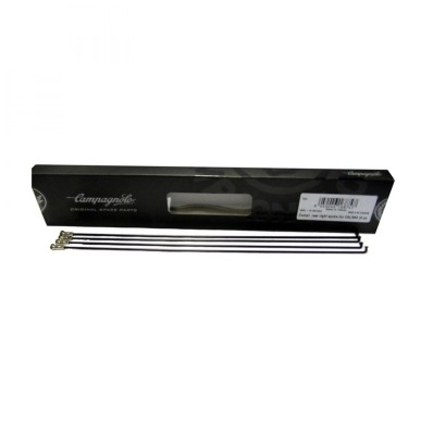 4 RAYONS CAMPAGNOLO CALIMA ARRIÈRE DROIT - WH-018CAC - 8050046168747