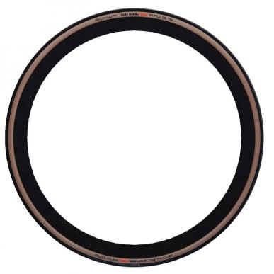 PN.SCHW.PRO ONE TT RECORD ED.26x1.10 EVO AD.RACE TUB.SOU.N/M - 11654294 - 4026495896016