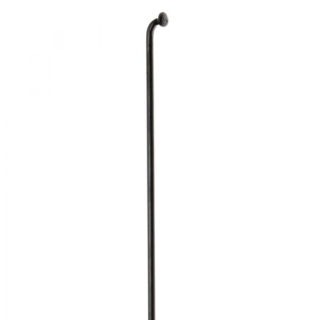 BOÎTE DE 100 RAYONS DT CHAMPION NOIR 260 x 2 - SCH020260S0100 BLACK - 7613052267623