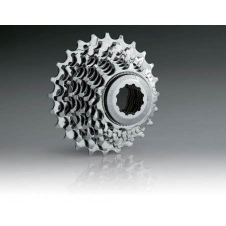 CASSETTE MICHE PRIMATO 9V.CAMPAGNOLO (12-25) - CAPR9BC122521 - 8056772575323